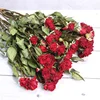 Rouge-3