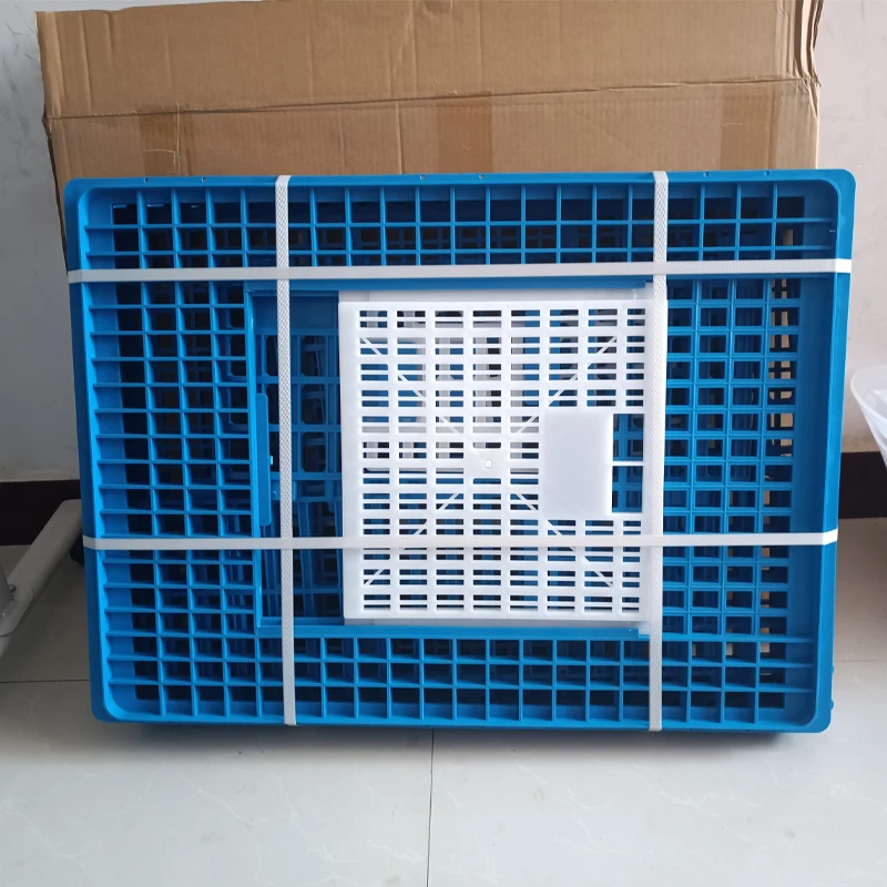 Zb Lmc 02 Live Pigeon Baby Chick Feeding Plastic Transport Boxs Poultry