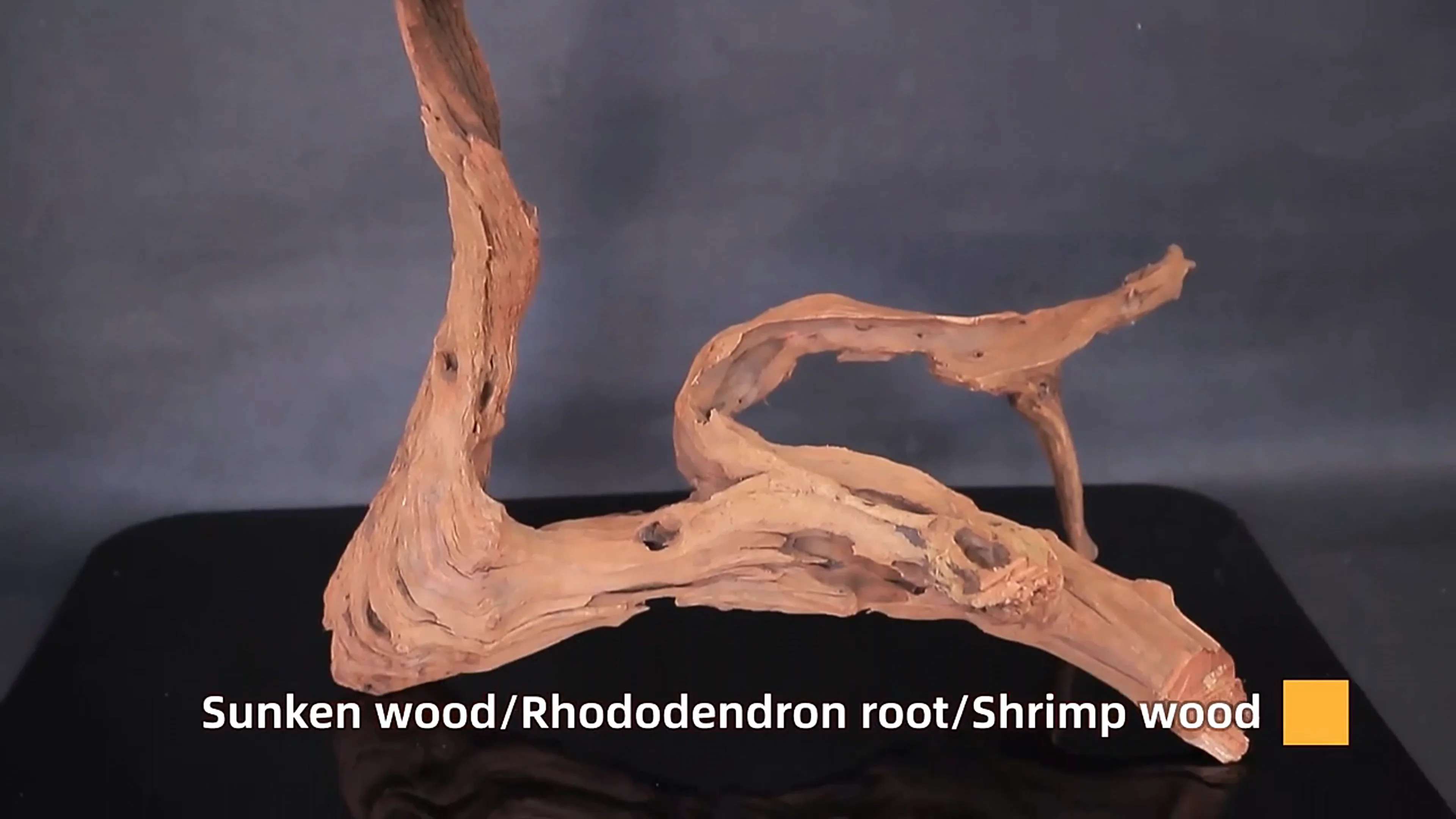 Portuguese Cork For Aquariums & Accessories Driftwood Buy Driftwood