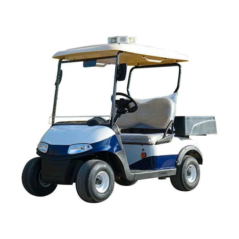 2025 Tailor-Made to Your Requirements Parison Electric Golf Cart New Energy Car Electric Vehicle 2025SDZX12PTPR18501