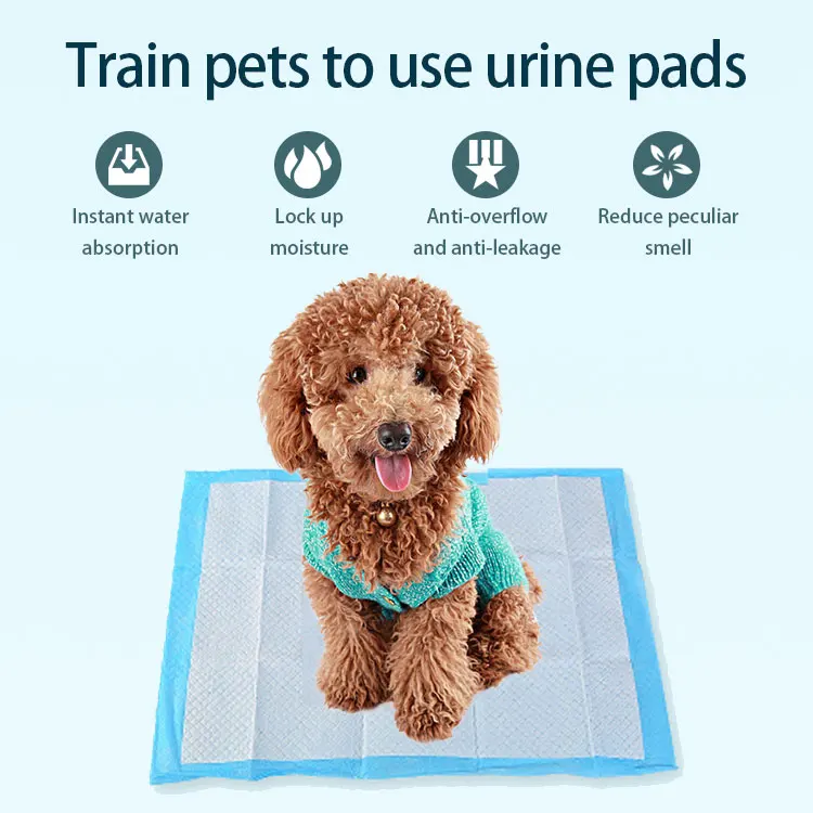Wholesale Dog And Puppy Pads Leakproof 5layer Dog Training Pads Eco