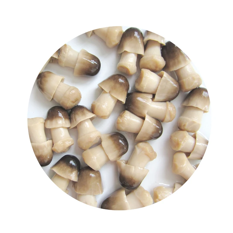 high quality whole unpeeled brined raw straw mushroom in plastic