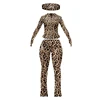 Leopardo marrone