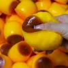 Building block filling material-Pudding handmade ball