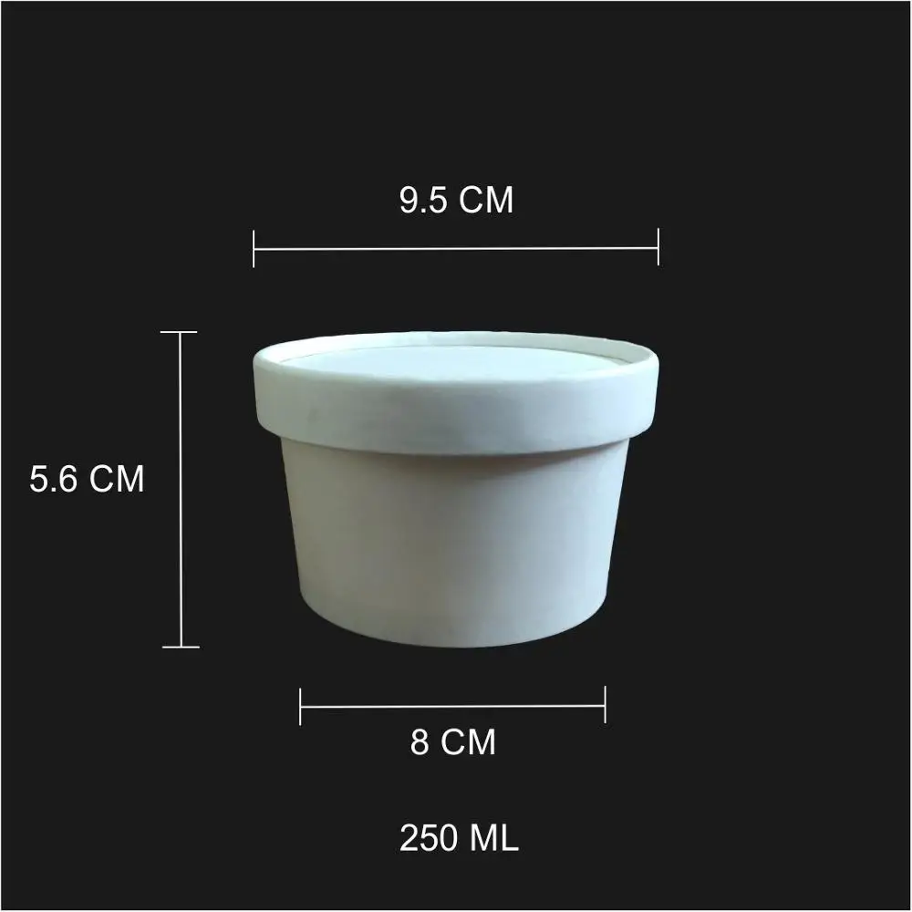 Disposable Container - White Disposable Plastic Food Container 250ML  Manufacturer from Chennai