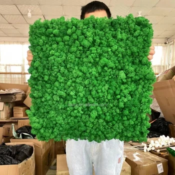 50x50 cm Reindeer Moss Panels Tiles Environmental Preserved Plastic Faux Boxwood Grass for Indoor Wall Office Wedding