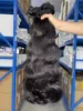 1 bundle body wave