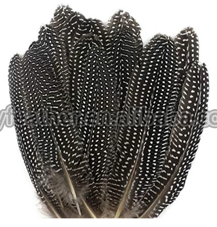 Guinea Feather Rounds - Natural