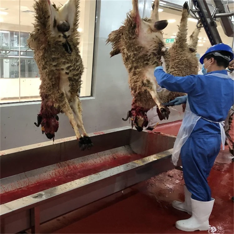 Customized halal mutton slaughtering process sheep slaughterhouse