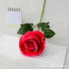Large velvet rose red