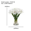 Artificial Clivia With Glass Vase - FYA0118