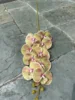Yellow 1