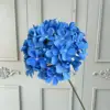 Bleu saphir