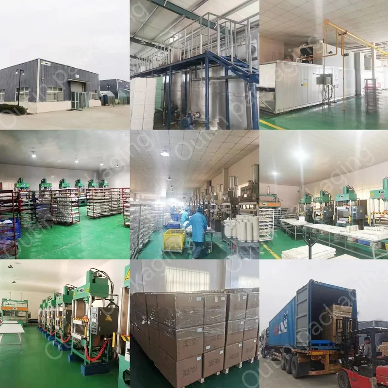 Molded Pulp Sugarcane Bagasse Eco Friendly Packaging Fruit Tray Molded