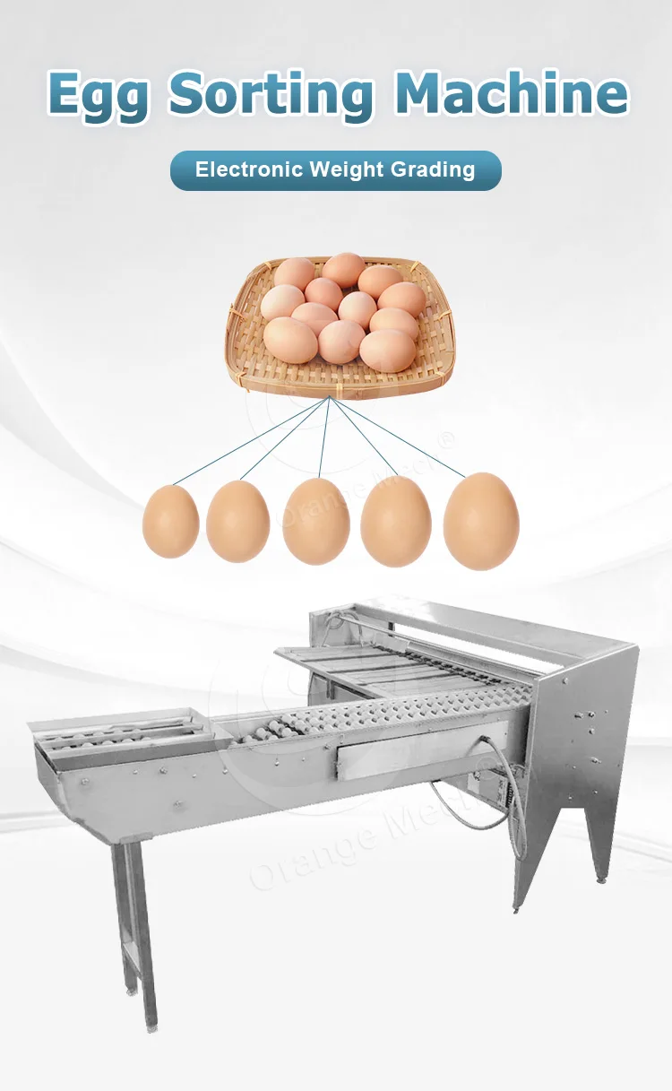 Orme Cheap Manual Mini Egg Size Sorter Grader Counter Grade South Africa Egg Sort Machine By
