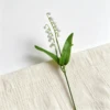 2 Giglio biforcuto - Bianco