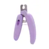VIOLETA