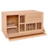 legno robusto