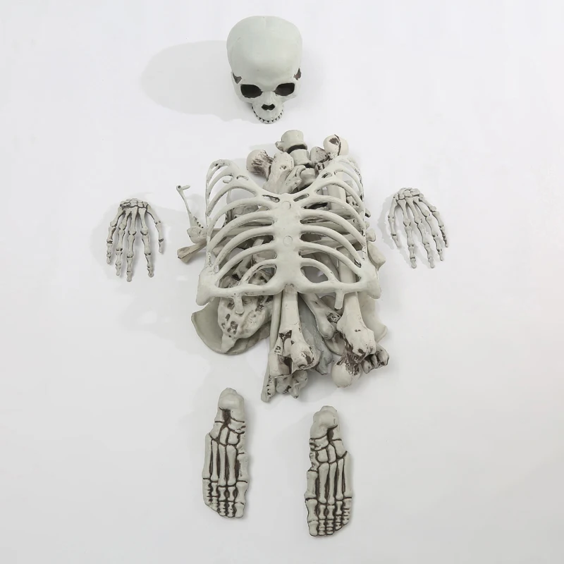 ハロウィンスケルトン,頭蓋骨セット | ハロウィン 屋内屋外用 不気味な装飾 玄関前 庭 ポーチ お化け屋敷 墓地 カーニバルパーテ ハロウィン用スケルトン  - 人間の頭蓋骨セット、地面の芝生ポーチ、前庭のカーニバル、お化け屋敷パーティー用の屋内屋外装飾 お化け屋敷の ... 骸骨デコレーション, 頭蓋骨セット, ハロウィン 屋内屋外用 不気味な装飾 玄関前 庭 ポーチ お化け屋敷 墓地 カーニバルパーティ
