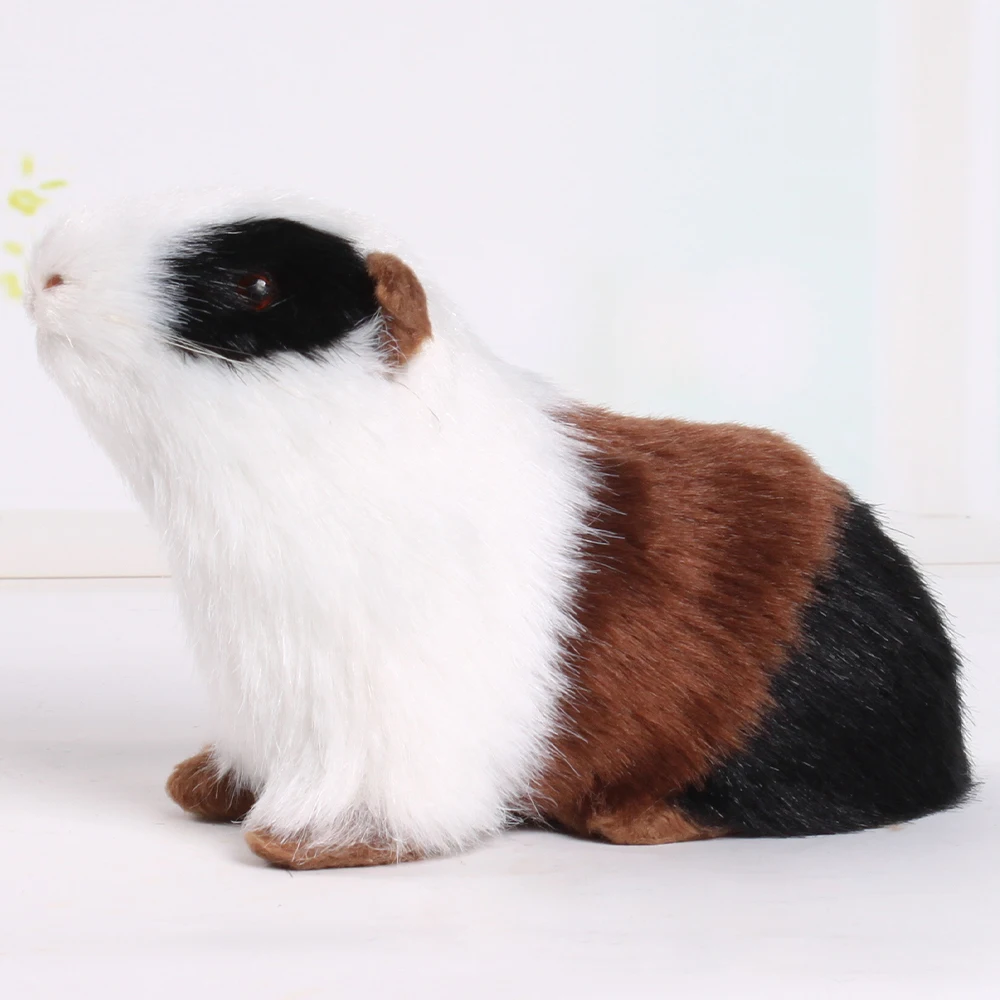 cute guinea pig stuff