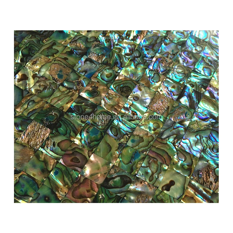 Abalone 800.jpg