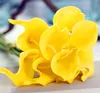 Giallo