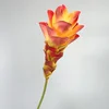 สีส้ม