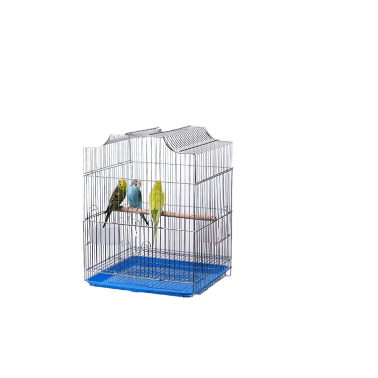 wholesale birds