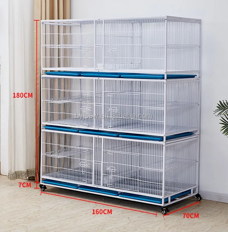 Good Design Pigeon Show Cage Taiwan Cage In Loft Buy Pigeon Taiwan
