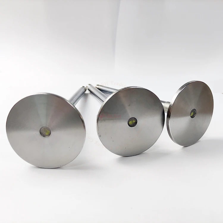 BLSH Customized Various Intake Valves Exhaust Valves for MAN16/24 YANMAR S165L M200L N18 N330