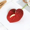 Single film anthurium dark 4