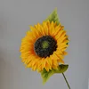amarillo2