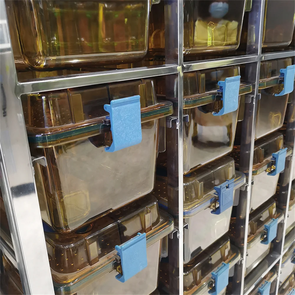 High Quality IVC System Equipment Laboratory Rat Breeding Cage Mouse Individually Ventilated Cage