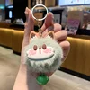 Green cat