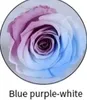 Blue purple -white