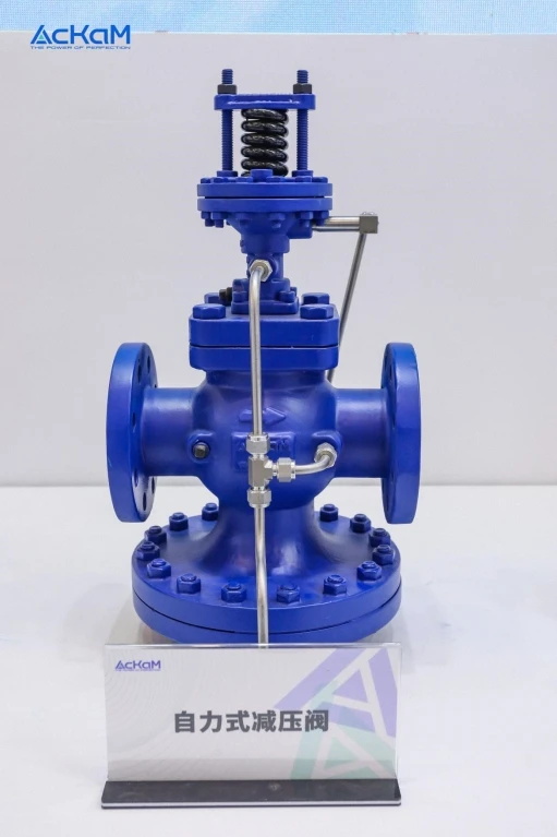High Sensitivity Manual Pilot Membrane Flanged Relief Valve Hot Sale Steam Pressure Reducing Valve for General Application