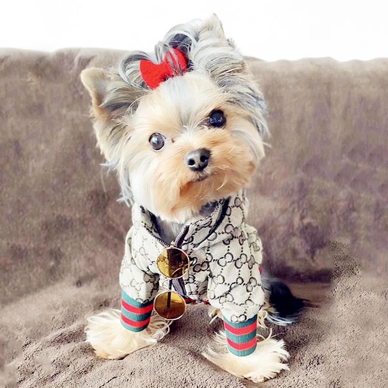 morkie clothes