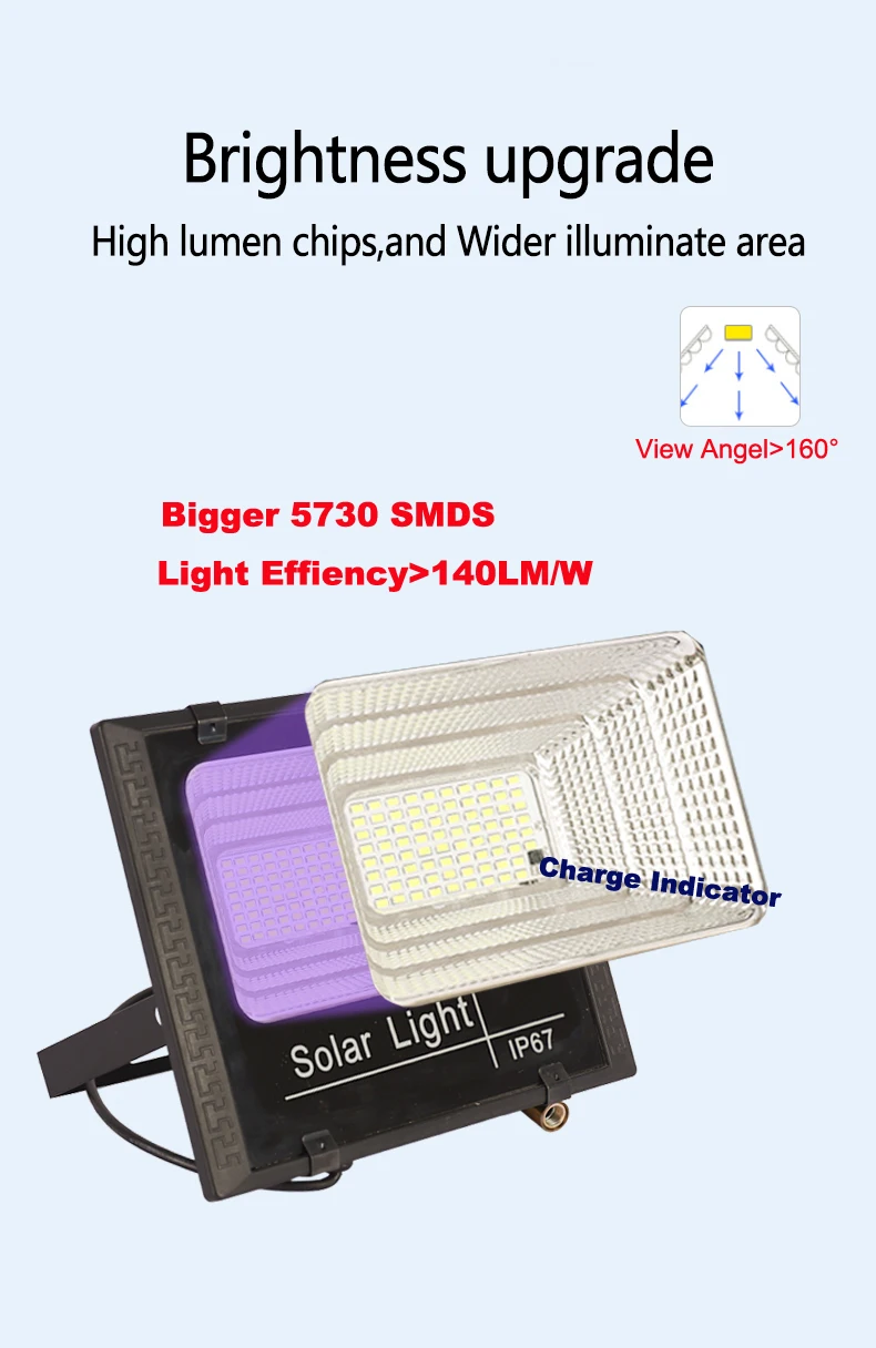 flood light chips.jpg
