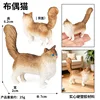 Gato Ragdoll 3524 de colores