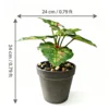 XY2603-5024   เอ็กซ์วาย2603-5024