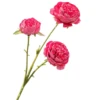 Deep rose red