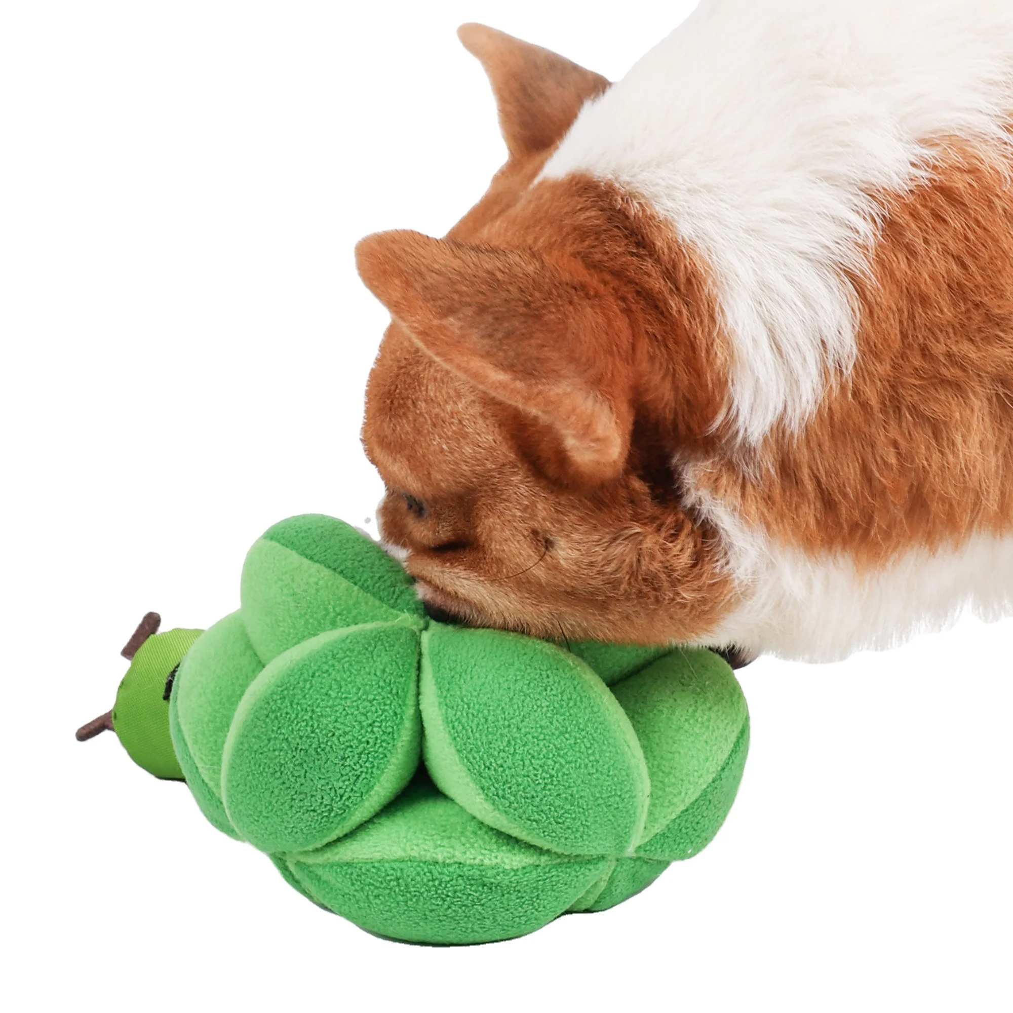 Interactive Broccoli Design Dog Toy Durable Small Medium Funny Squeakers Best Pet Carton Packaging Lovely Simple Cartoon Style