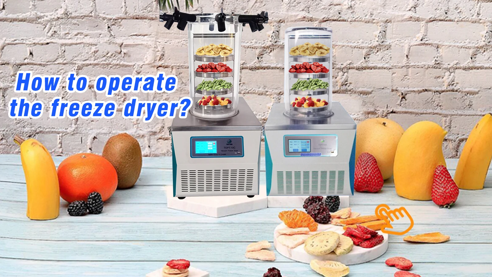 Mini Desktop Vacuum Freeze Dryer Multifunctional Food Dehydrator Vegetables  Fruit Freeze Drying Mahine Laboratory 110V/60Hz 