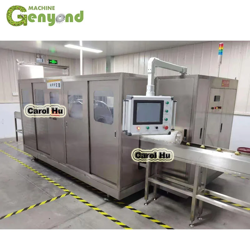 Mini Cold Water Hpp Machine for Juices Thailand Young Coconut Water