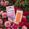 Orange Rose