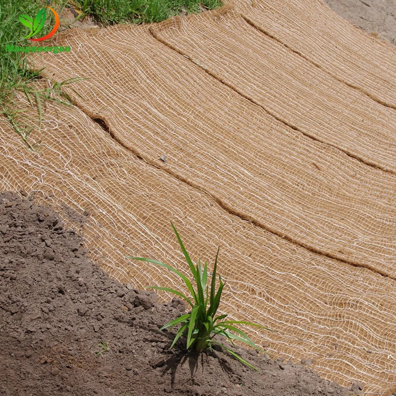 Coir mat geotextile with jute for river bank erosion control