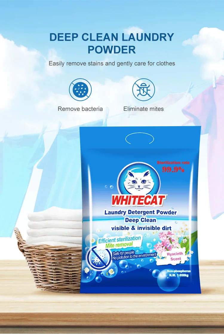 Wholesale Laundry Washing Detergent Powder High foam Low density Powder detergent for Laundry manufacturer OEM ODM supplier