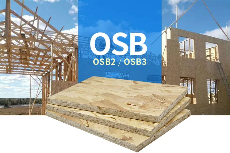 product-1-1 product-1-1