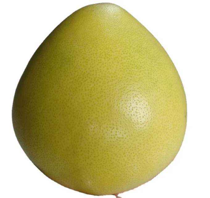 热销优质出口柚子柚子 - buy buy honey pomelo,pomelo fruit,citrus