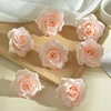 rosa melocotón a5